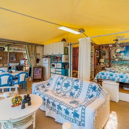 Apartment Sleeping Under The Stars Torre delle Stelle